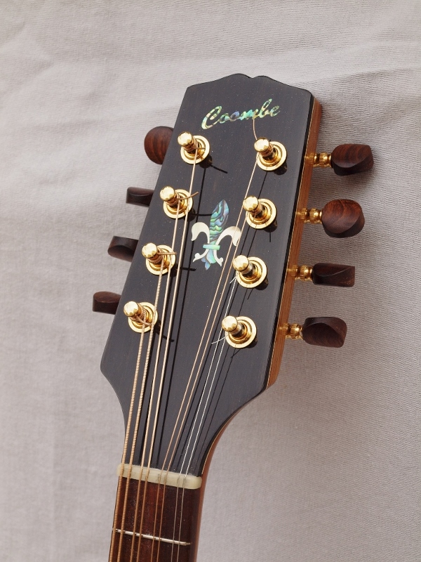 Headstock (600x800).jpg