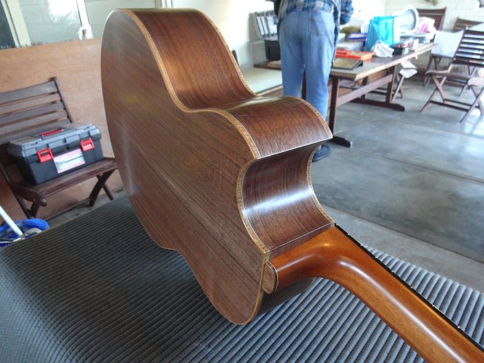 Maurice Mottola Walnut back  sides.jpg