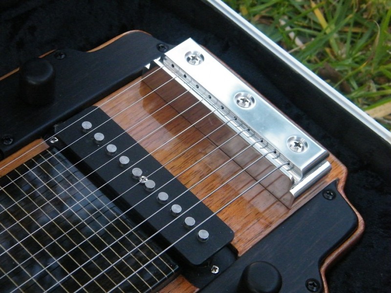 ND 10 String Bridge Detail ANZLF.jpg