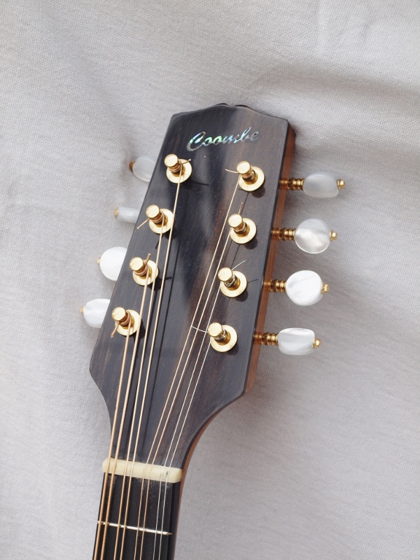 Headstock.jpg