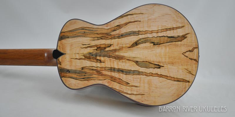 Ambrosia Maple - Ancient Spruce Tenor-10.jpg