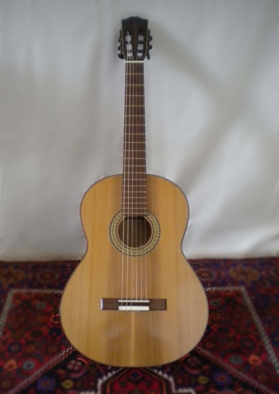 Guitar #7 Macrocarpa.jpg