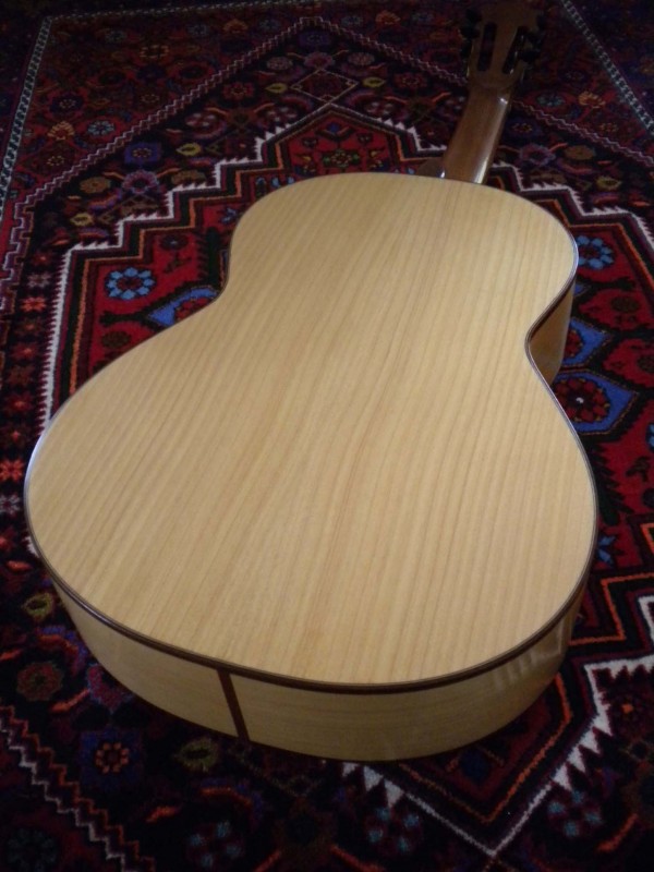 Guitar #7back.jpg