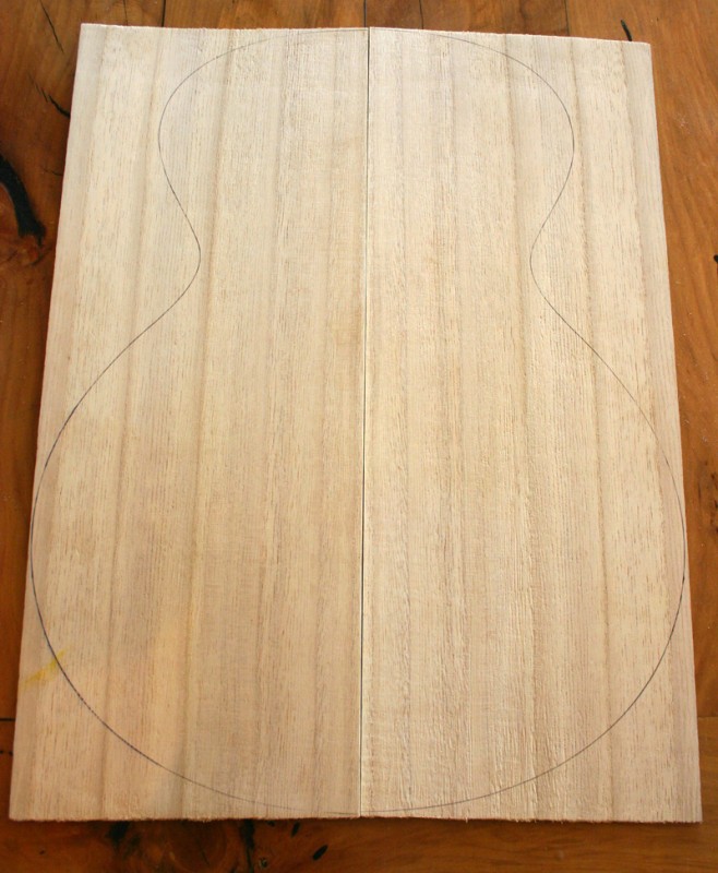 paulownia top.jpg