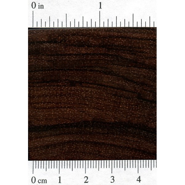 brazilian-rosewood-endgrain.jpg