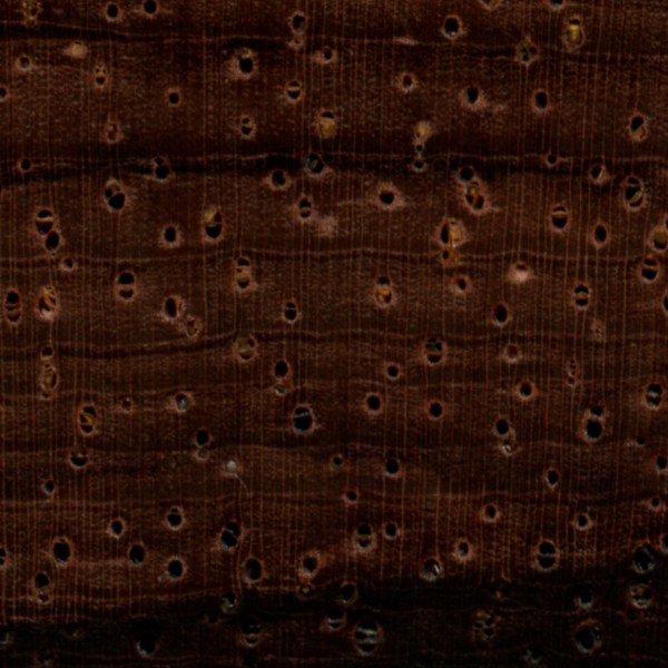 brazilian-rosewood-endgrain-zoom.jpg