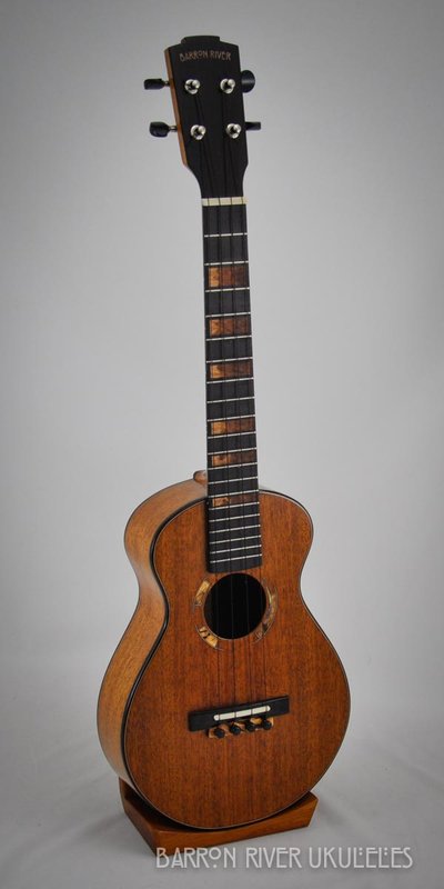 Brazilian Mahogany Long Neck Concert.jpg