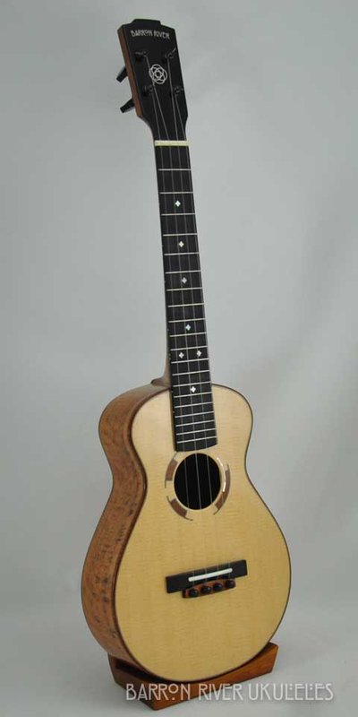 Tiger Myrtle Long Neck Concert-2.jpg