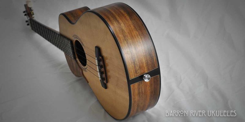 Blackwood and Sitka Tenor-8.jpg