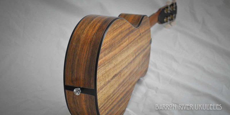 Blackwood and Sitka Tenor-9.jpg