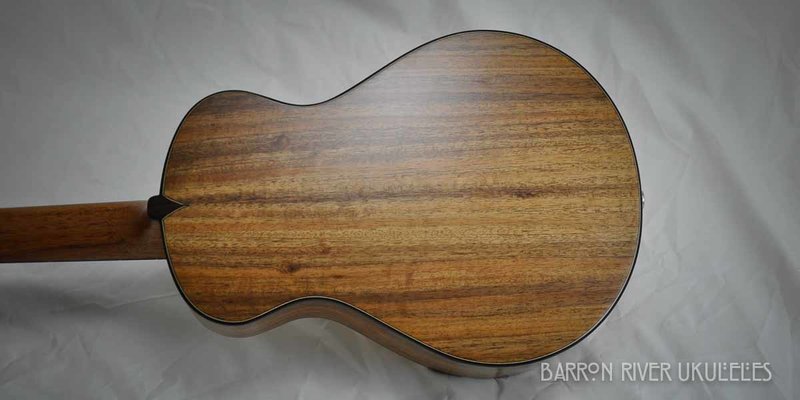 Blackwood and Sitka Tenor-12.jpg