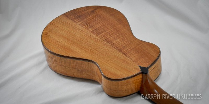 Blackwood and Sitka Tenor-11.jpg