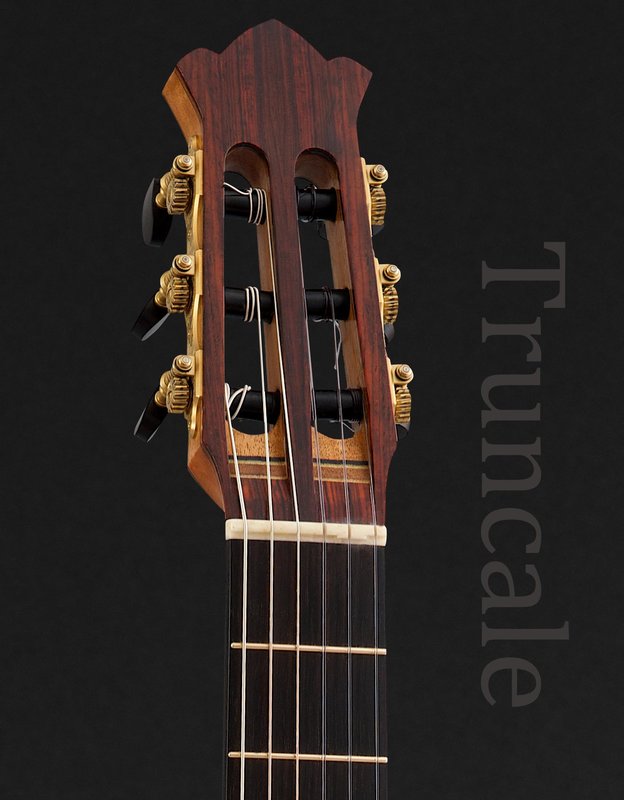 Tara Headstock.jpg