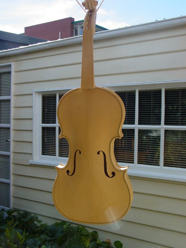 Violin spruce top.JPG