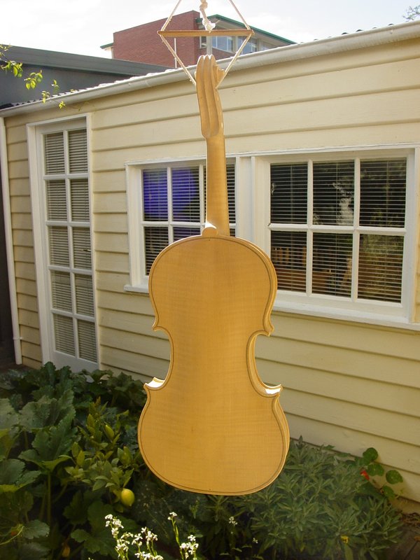 Violin maple back.JPG