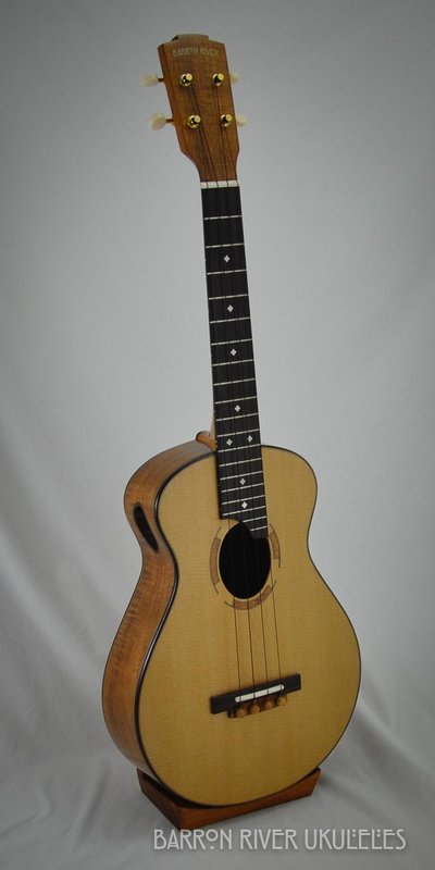 Blackwood and Sitka Tenor-5.jpg