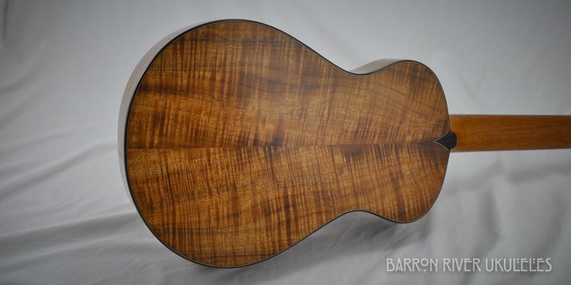 Blackwood and Sitka Tenor-12.jpg