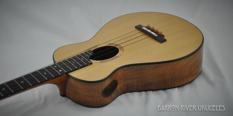 Blackwood and Sitka Tenor-14.jpg