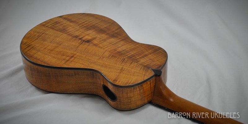 Blackwood and Sitka Tenor-15.jpg