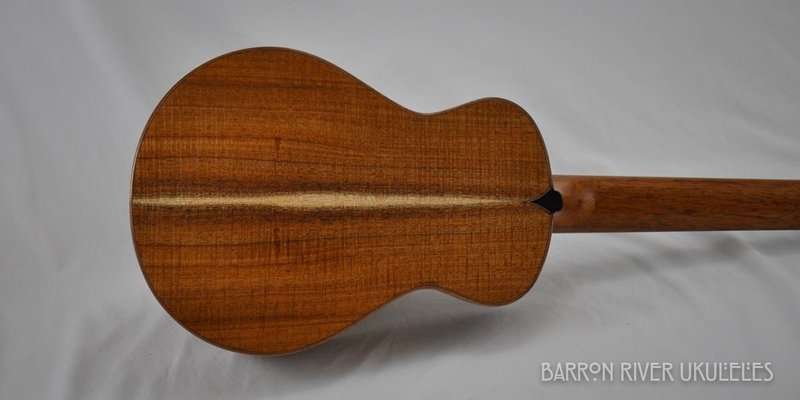 Blackwood and Cedar 6 String Tenor-5.jpg