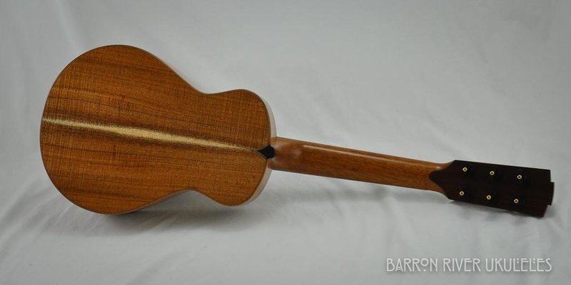 Blackwood and Cedar 6 String Tenor-6.jpg