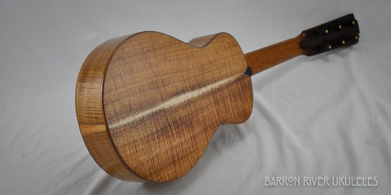 Blackwood and Cedar 6 String Tenor-8.jpg