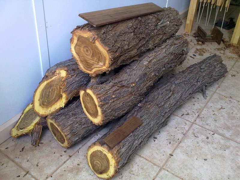 Gidgee Logs.jpg