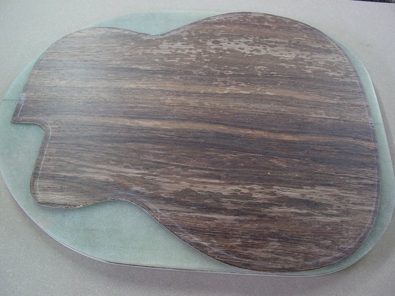 Laminated Back.JPG