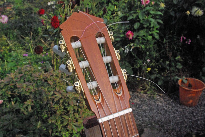 Headstock front small.jpg