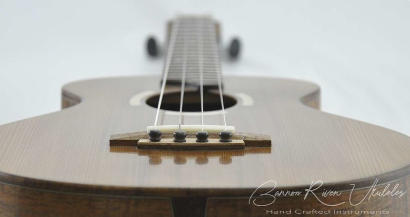 Blackwood and Cedar Baritone13.jpg