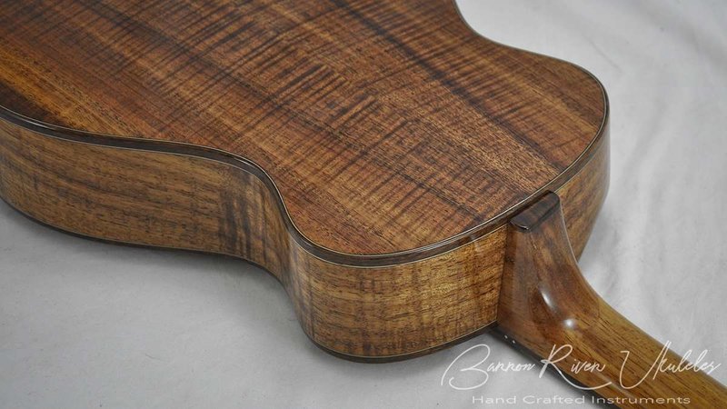 Blackwood and Sequoia Baritone with scoop cutaway9.jpg