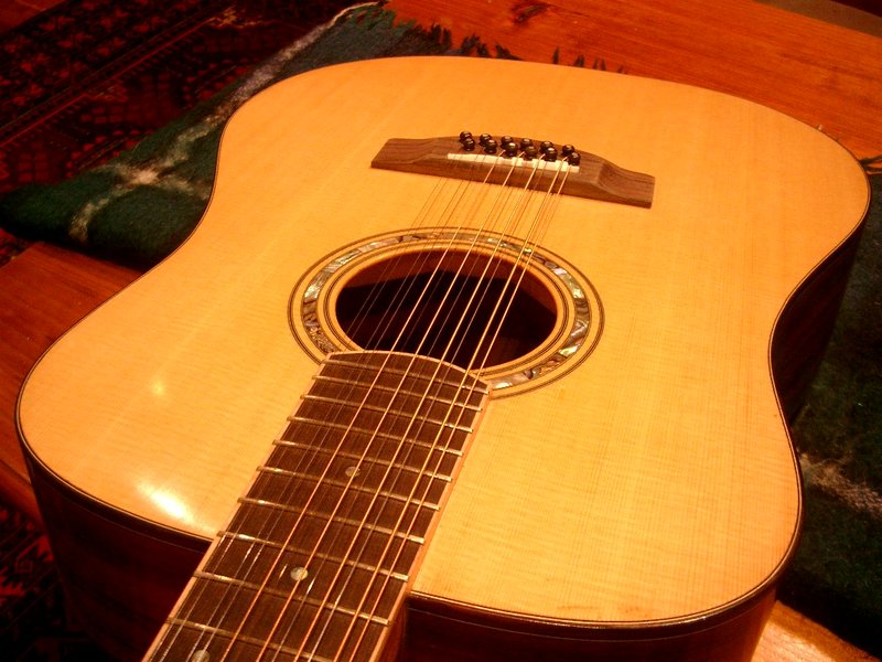 12 string finished 001.JPG