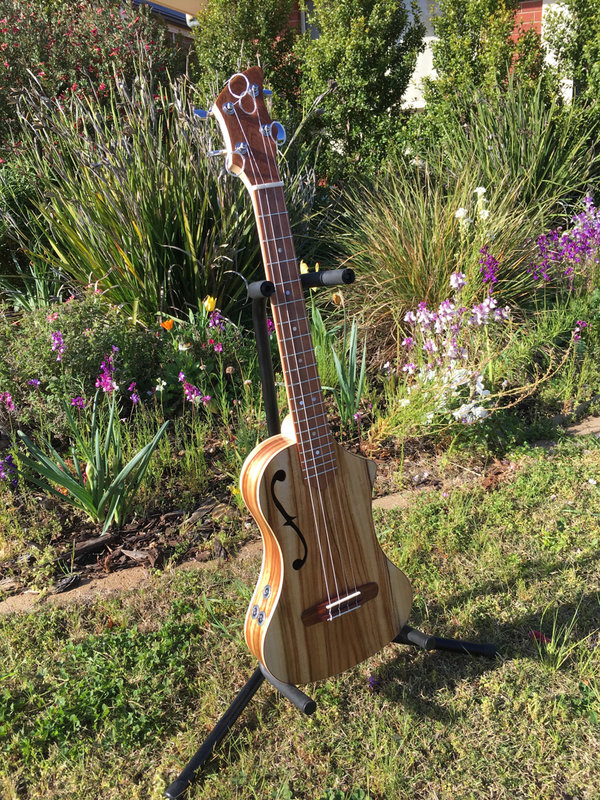 Baritone ukulele (3 of 11).jpg