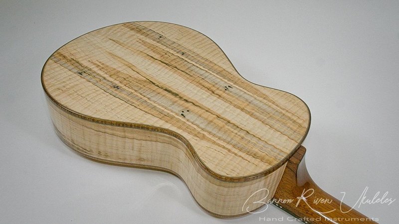 Ambrosia Maple and Sitka 8 String Baritione02202019_12.jpg