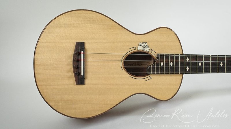 Honduran Rosewood-Andirondack Tenor - 6.jpg