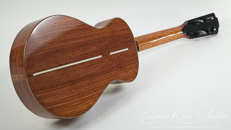 Honduran Rosewood-Andirondack Tenor - 9.jpg