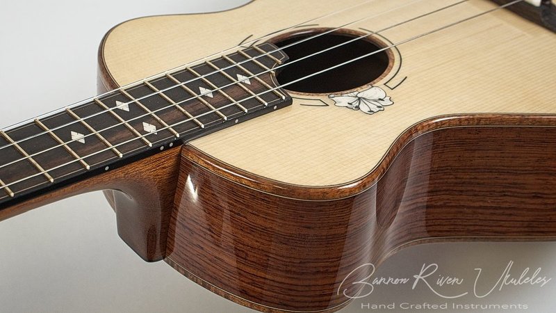 Honduran Rosewood-Andirondack Tenor - 16.jpg