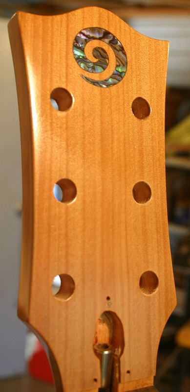first koru batch 6.JPG