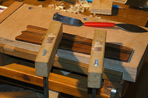 2011_D70_2908-1.jpg