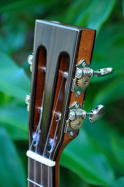 Black Heart Sassafras Tenor 049.jpg