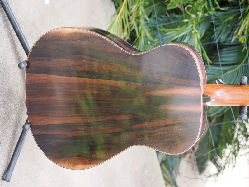 back-closeup.JPG