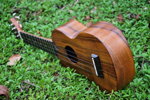 Koa Soprano 147.jpg