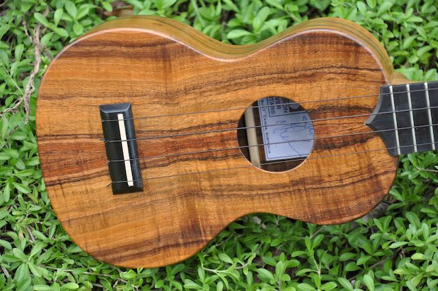 Koa Soprano 165.jpg