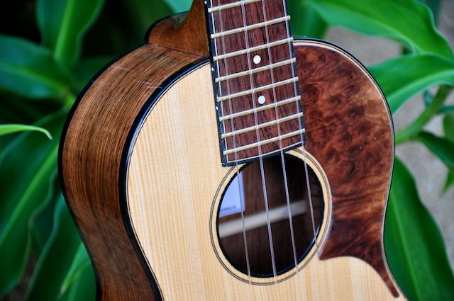 Honduran Rosewood Tenor 107.jpg