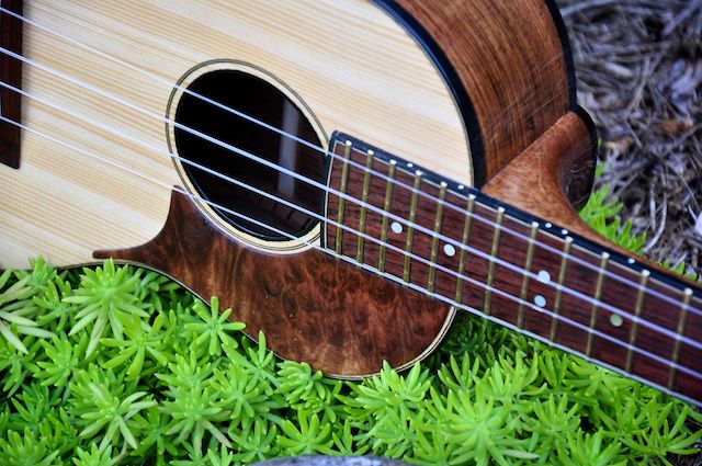 Honduran Rosewood Tenor 117.jpg