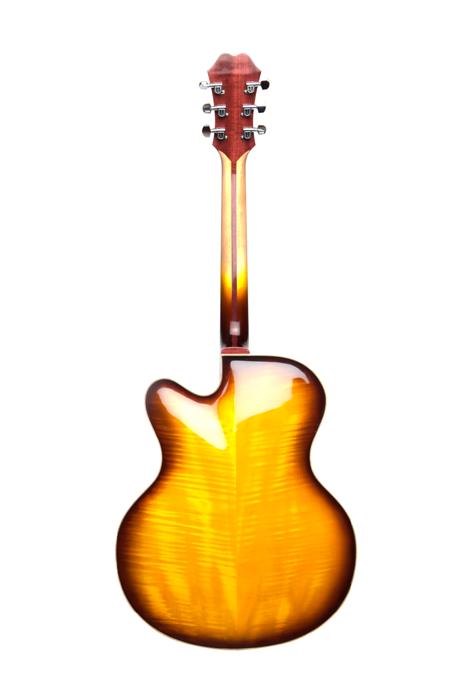 Octigan Guitars Warm Brown Back (Custom).jpg