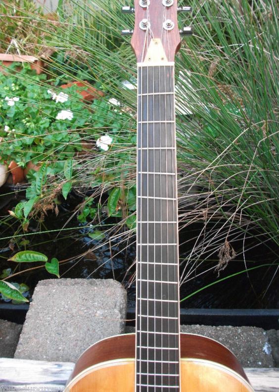 aaa frets.JPG