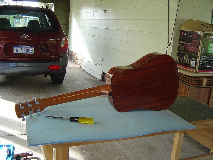 Jarrah back & sides.jpg