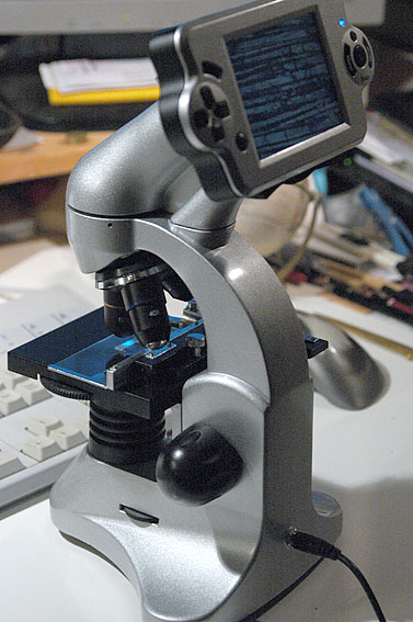 2011_D70_3672.jpg