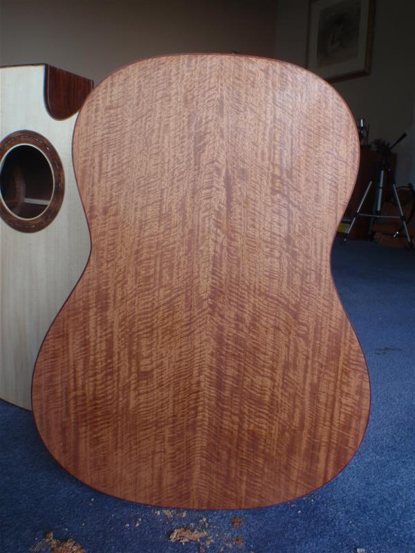Narra Hauser 003 (Custom).JPG